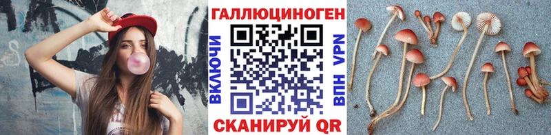 даркнет сайт  Похвистнево  Галлюциногенные грибы мицелий 